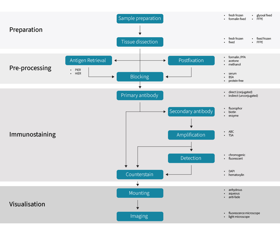 Chart of a typical IHC workflow