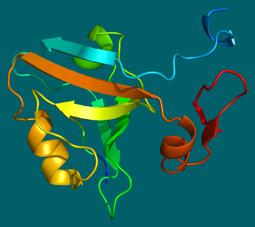3D-structure of the PSD95 protein. Based on PyMOL rendering of PDB 1be9