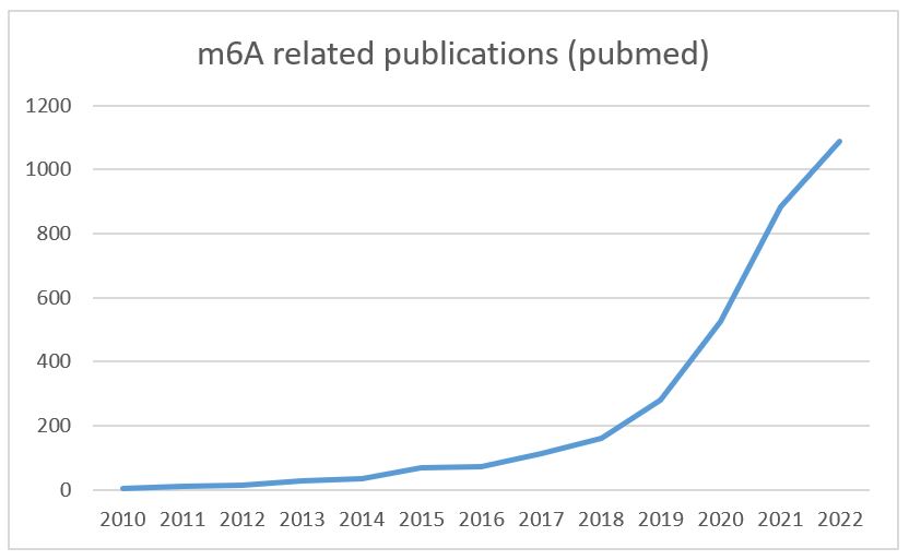m6A related publications